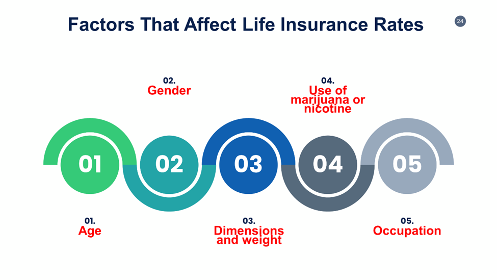 Life Insurance Cost Calculator Total Coverage You Need