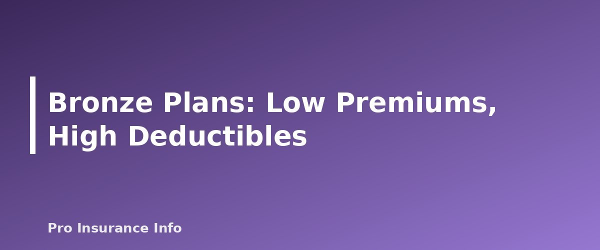 Bronze Plans: Low Premiums, High Deductibles - section banner for ACA Marketplace Bronze, Silver, Gold and Platinum Explained