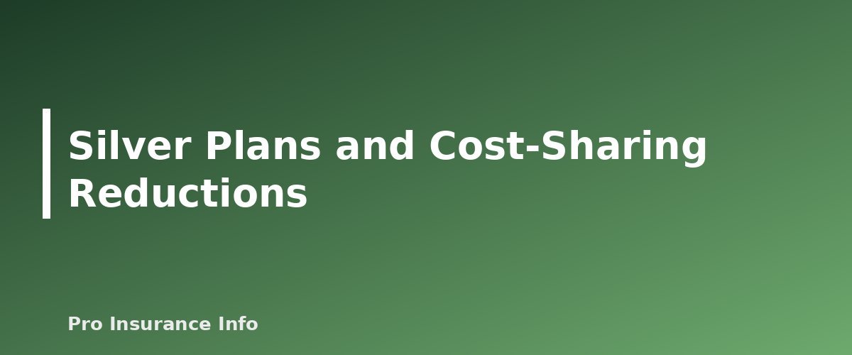 Silver Plans and Cost-Sharing Reductions - section banner for ACA Marketplace Bronze, Silver, Gold and Platinum Explained