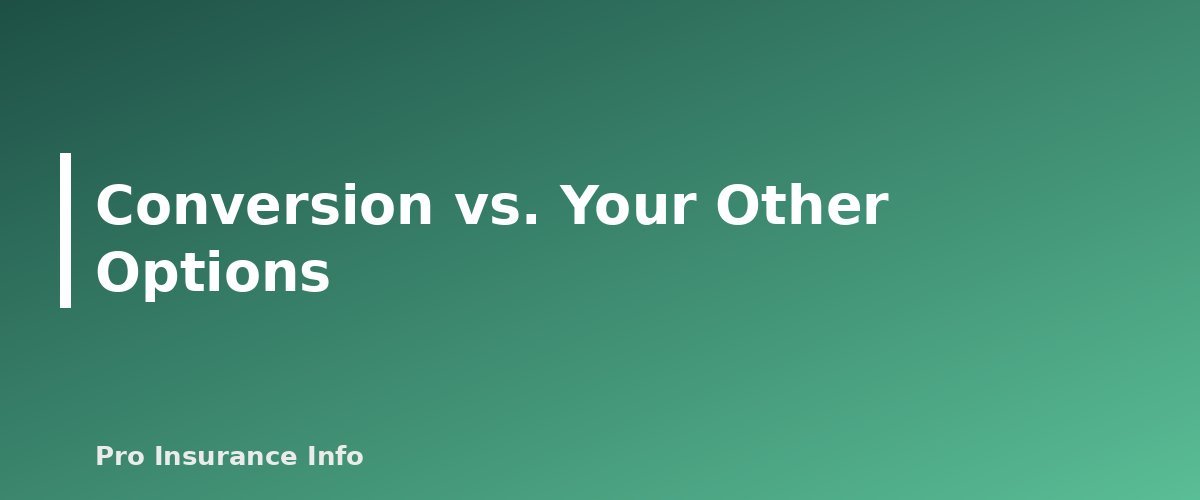 Conversion vs. Your Other Options - section banner for Convertible Term Life Insurance