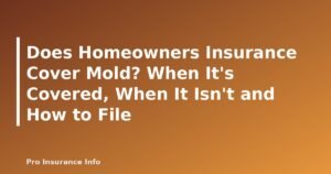Does Homeowners Insurance Cover Mold? When It's Covered, When It Isn't and How to File - featured image