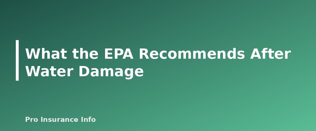 What the EPA Recommends After Water Damage - section banner for Does Homeowners Insurance Cover Mold? When It's Covered, When It Isn't and How to File