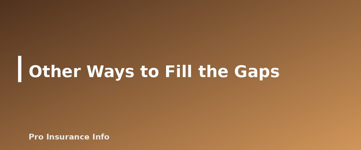 Other Ways to Fill the Gaps - section banner for Does Medicare Cover Dental, Vision and Hearing? What Original Medicare Pays For and Your Options