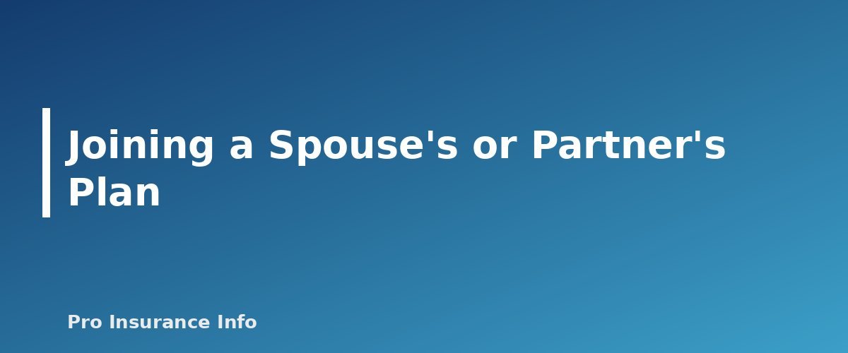 Joining a Spouse's or Partner's Plan - section banner for Health Insurance for the Self-Employed