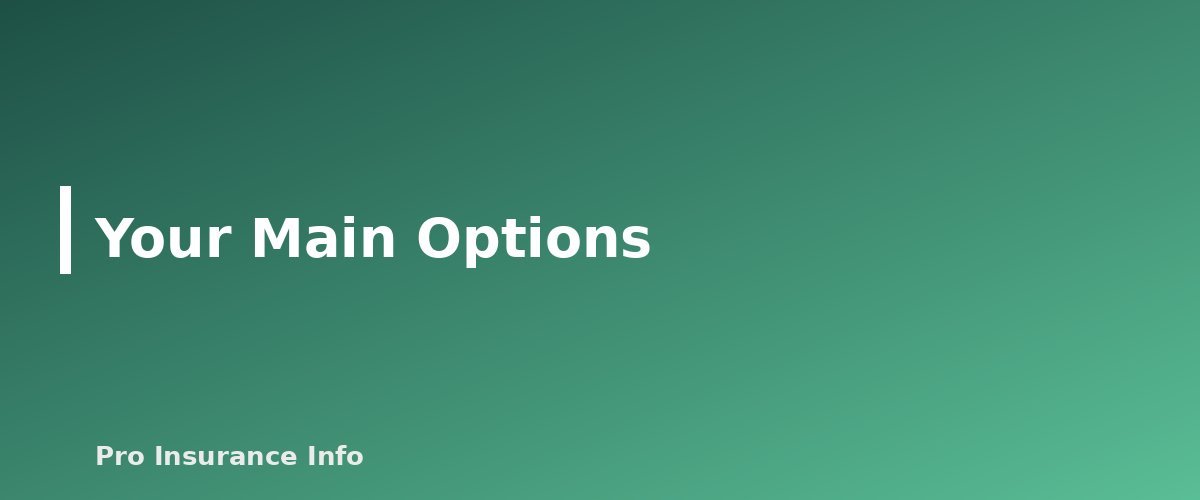 Your Main Options - section banner for Health Insurance for the Self-Employed