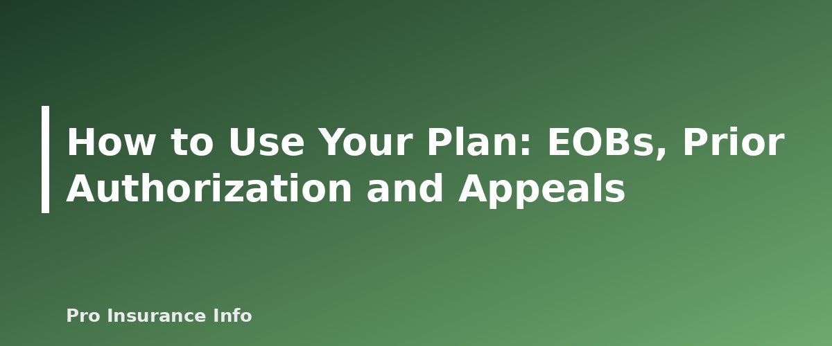How to Use Your Plan: EOBs, Prior Authorization and Appeals - section banner for Health Insurance Guide