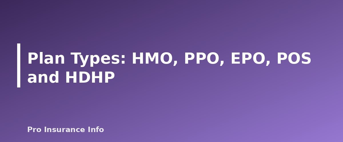 Plan Types: HMO, PPO, EPO, POS and HDHP - section banner for Health Insurance Guide
