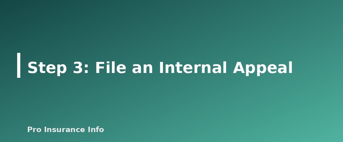Step 3: File an Internal Appeal - section banner for How to Appeal a Denied Health Insurance Claim