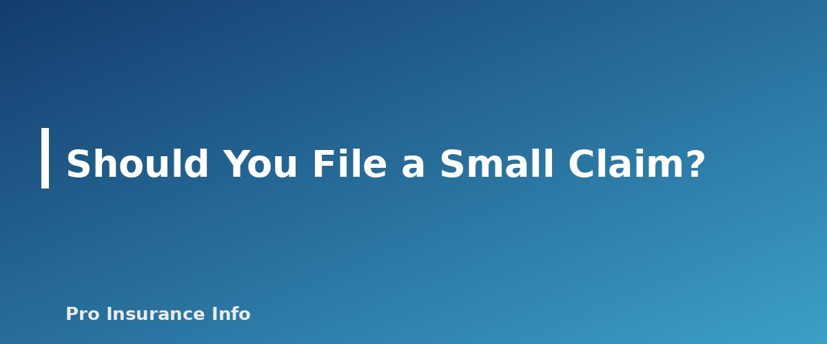 Should You File a Small Claim? - section banner for How to Lower Car Insurance After a Ticket or Accident