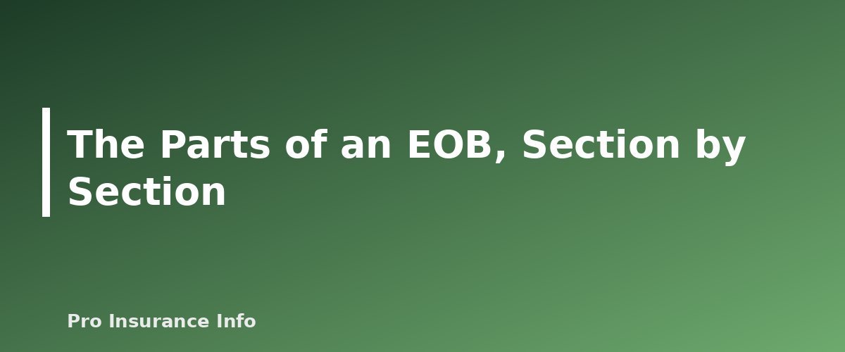 The Parts of an EOB, Section by Section - section banner for How to Read an Explanation of Benefits (EOB)