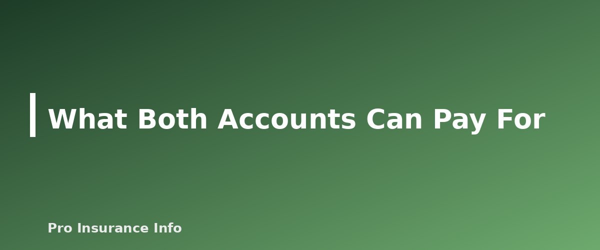 What Both Accounts Can Pay For - section banner for HSA vs FSA