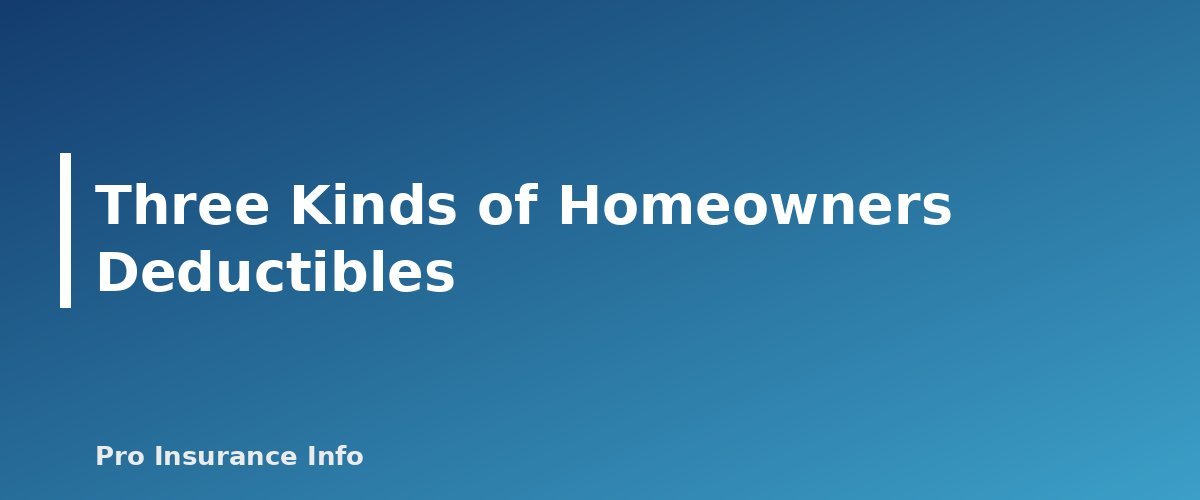 Three Kinds of Homeowners Deductibles - section banner for Hurricane and Wind/Hail Deductibles Explained