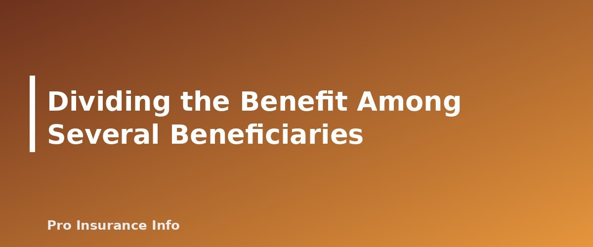 Dividing the Benefit Among Several Beneficiaries - section banner for Life Insurance Beneficiaries Explained
