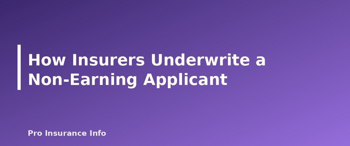 How Insurers Underwrite a Non-Earning Applicant - section banner for Life Insurance for Stay-at-Home Parents