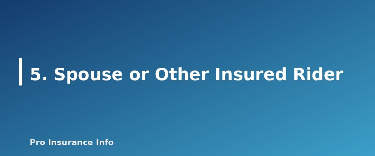 5. Spouse or Other Insured Rider - section banner for Life Insurance Riders Explained