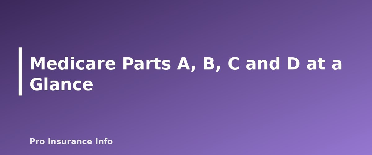 Medicare Parts A, B, C and D at a Glance - section banner for Medicare Guide