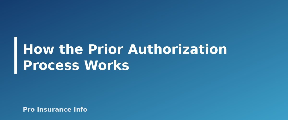 How the Prior Authorization Process Works - section banner for Prior Authorization Explained