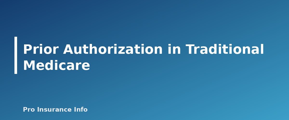 Prior Authorization in Traditional Medicare - section banner for Prior Authorization Explained