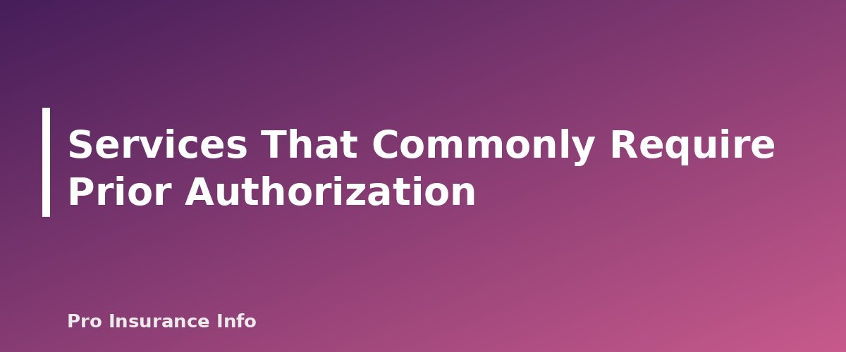 Services That Commonly Require Prior Authorization - section banner for Prior Authorization Explained