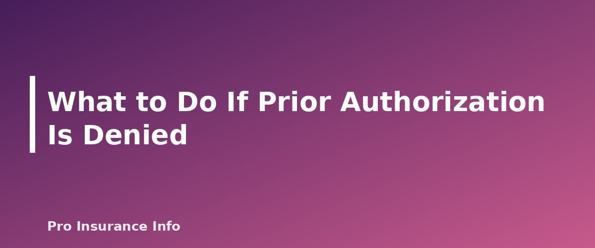 What to Do If Prior Authorization Is Denied - section banner for Prior Authorization Explained