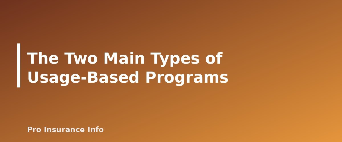 The Two Main Types of Usage-Based Programs - section banner for Usage-Based Car Insurance