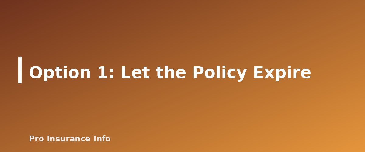Option 1: Let the Policy Expire - section banner for What Happens When Term Life Insurance Ends? Your 5 Options Explained