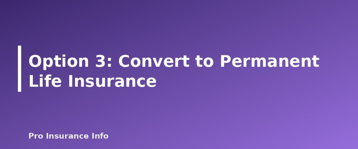 Option 3: Convert to Permanent Life Insurance - section banner for What Happens When Term Life Insurance Ends? Your 5 Options Explained