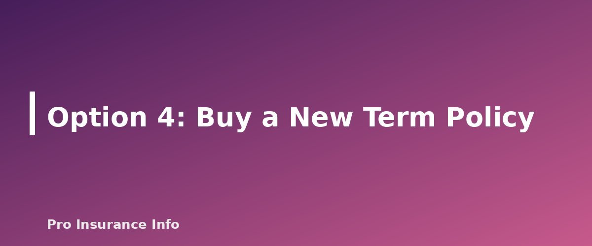Option 4: Buy a New Term Policy - section banner for What Happens When Term Life Insurance Ends? Your 5 Options Explained
