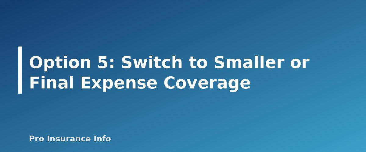 Option 5: Switch to Smaller or Final Expense Coverage - section banner for What Happens When Term Life Insurance Ends? Your 5 Options Explained