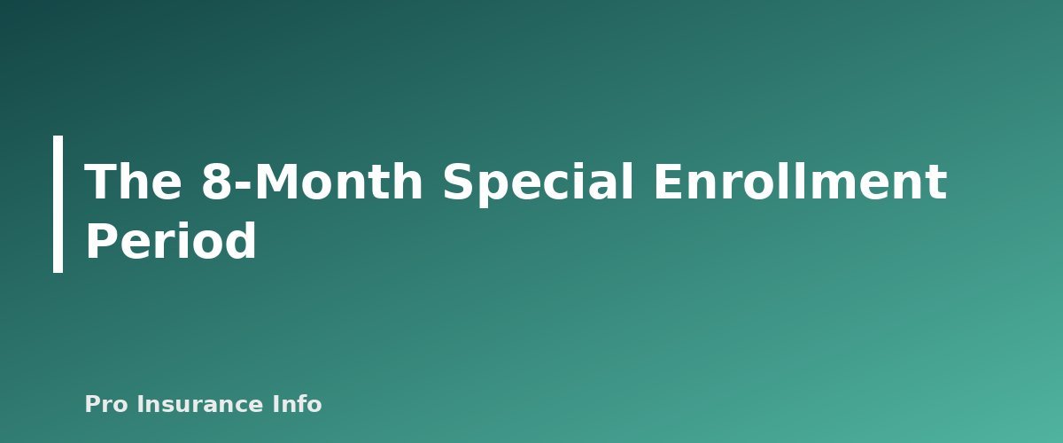 The 8-Month Special Enrollment Period - section banner for Working Past 65